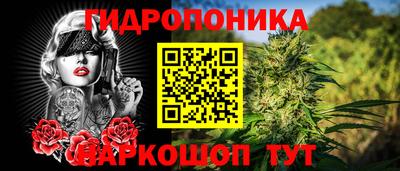 крисы Рузаевка