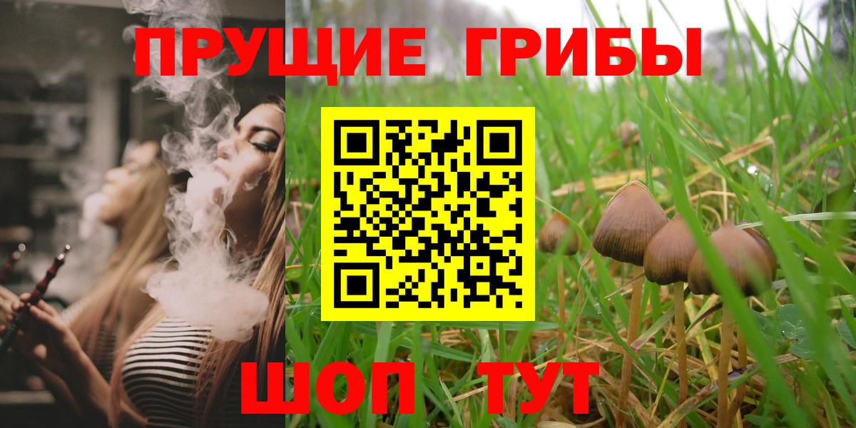 Полысаево  Псилоцибиновые грибы мицелий  Псилоцибиновые грибы Psilocybine cubensis  Вход с VPN 