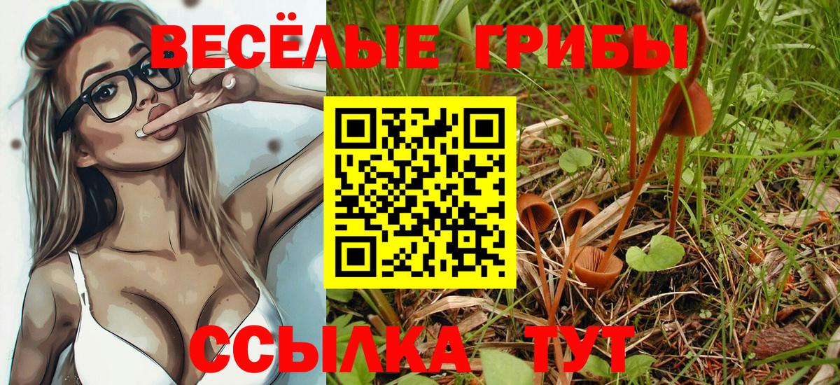 Галлюциногенные грибы прущие грибы Полысаево